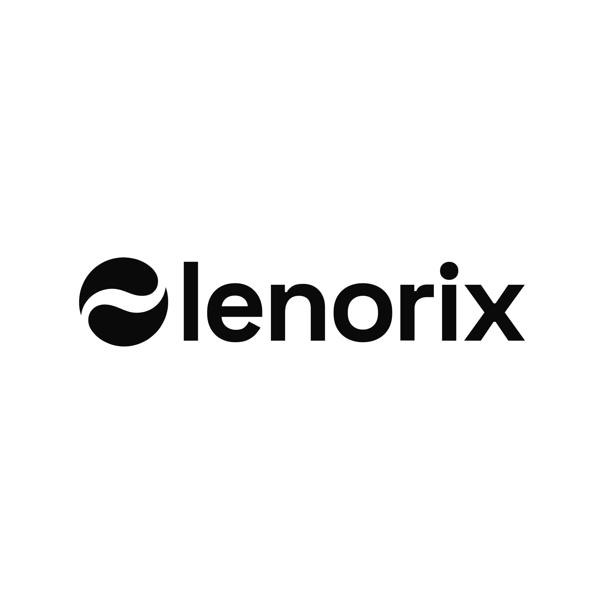 lenorix Branding Project